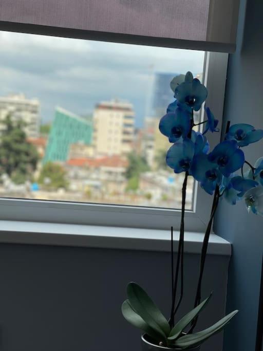 Voyage Penthouse Leilighet Tiranë Eksteriør bilde